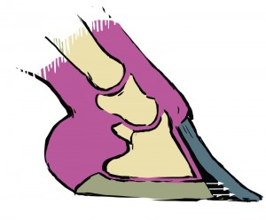 Flara